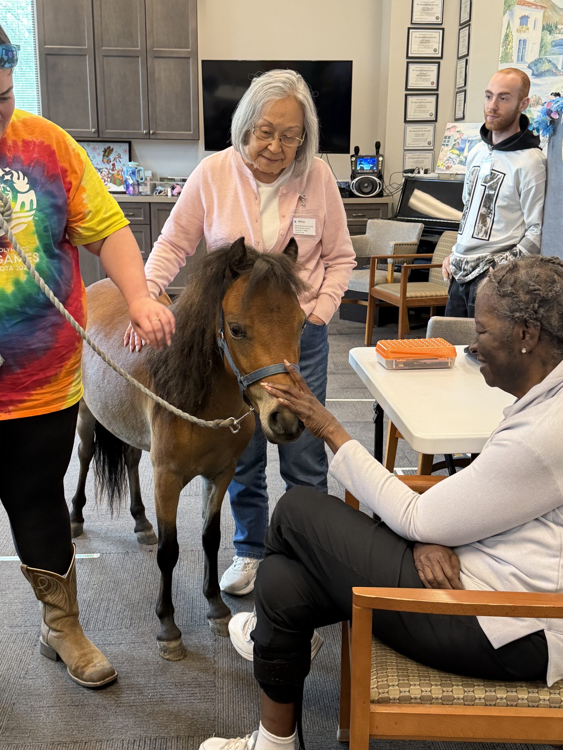 A miniature horse stands in a room while being petted by two older women.
